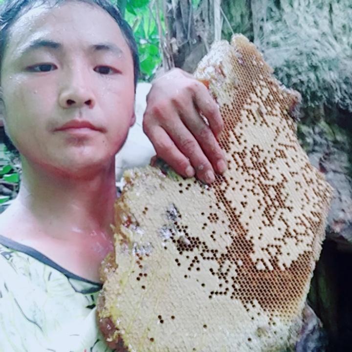 野生蜂蜜～小何