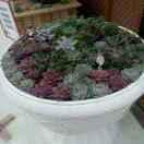 心想事成无尘打磨