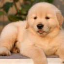 烟火啊