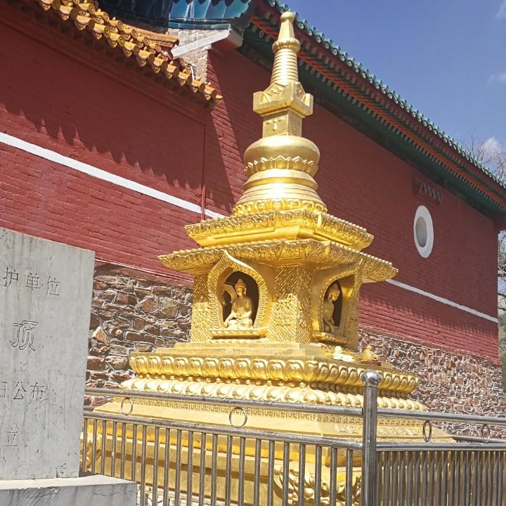 心飞扬