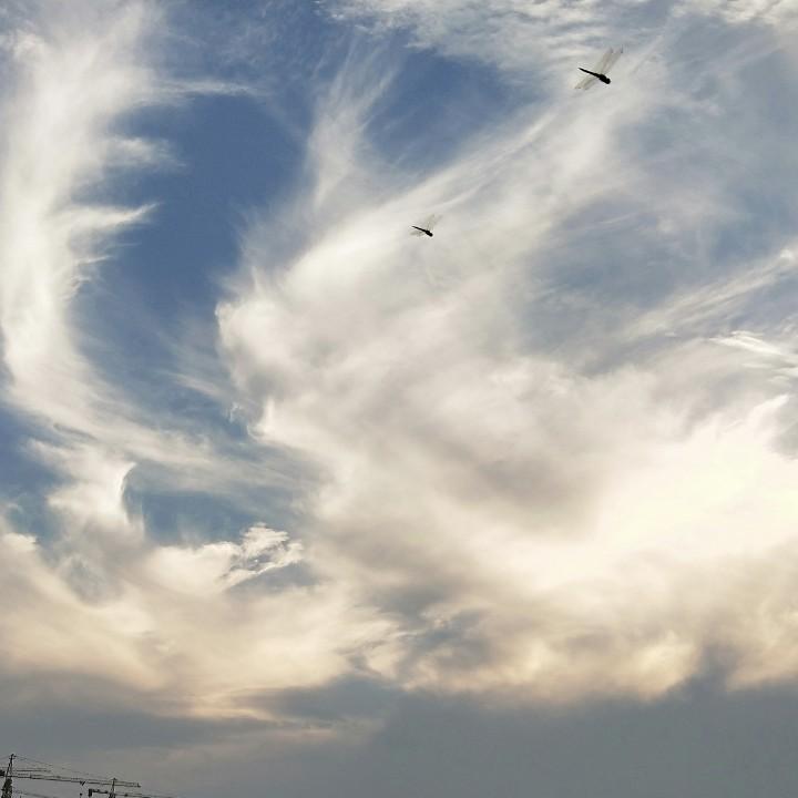 大连祥晟聚氨酯保温发泡料喷涂施工厂家