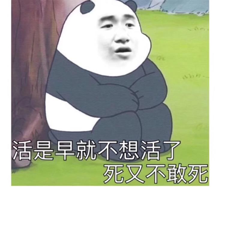 南风未起，念你成疾。