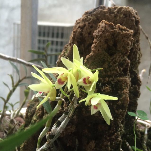 家具安装师傅小江