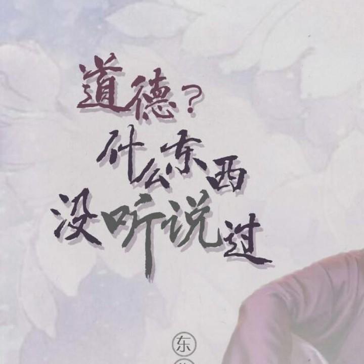 懒惰的猫