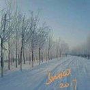 sjxmys1985