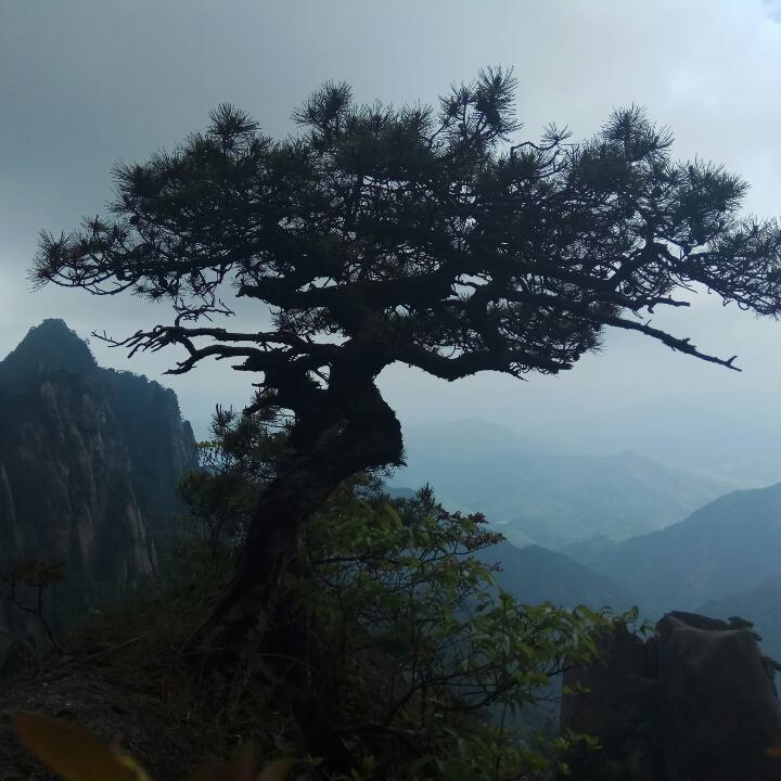 云楼☁
