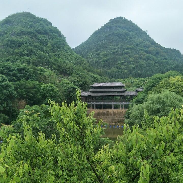 妮子，