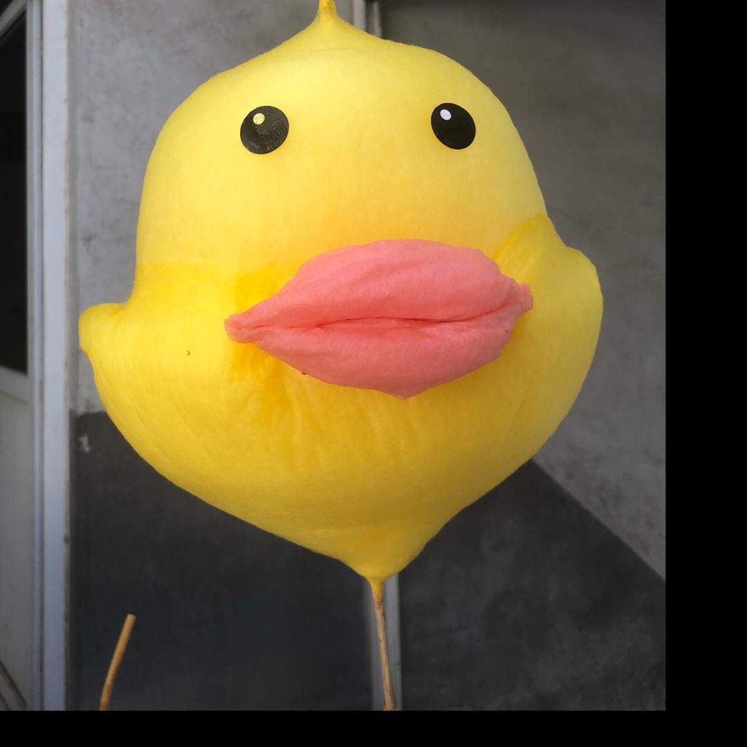 糖哥棉花糖@抖音