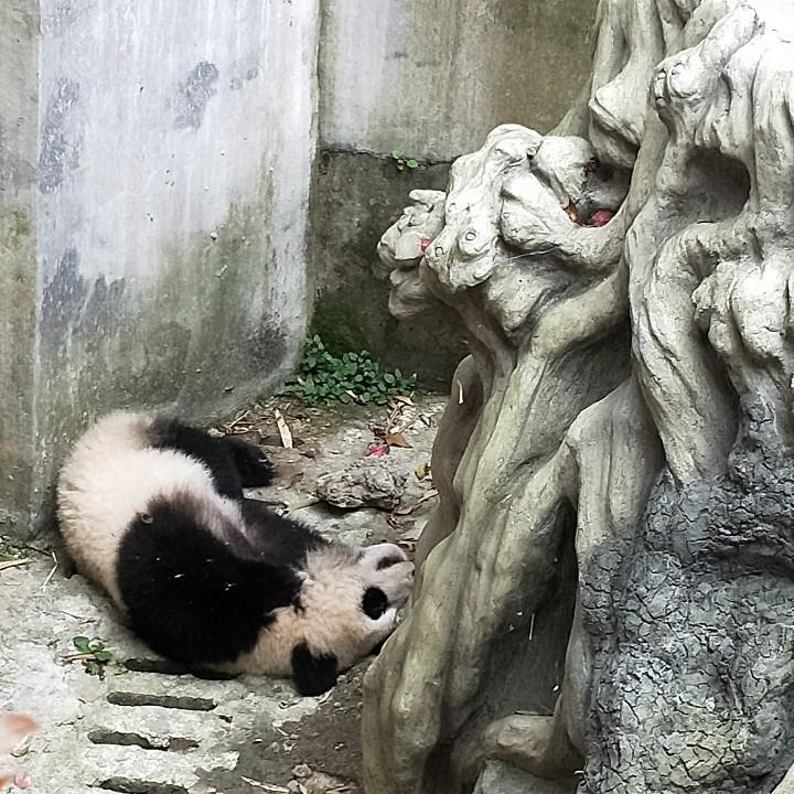 河津周东华