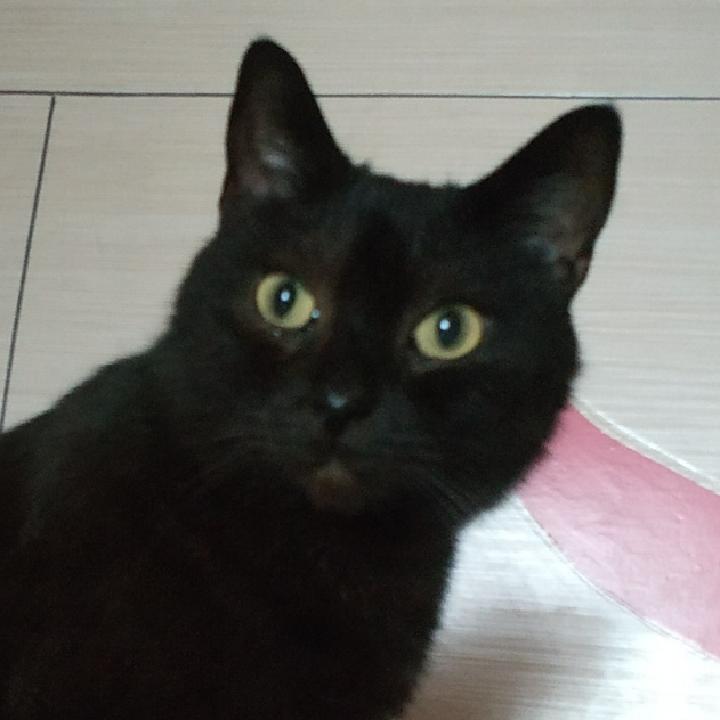 大力小生