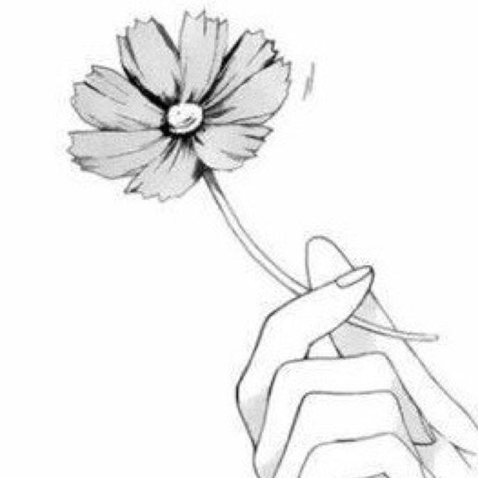 👑快乐豌豆苗～