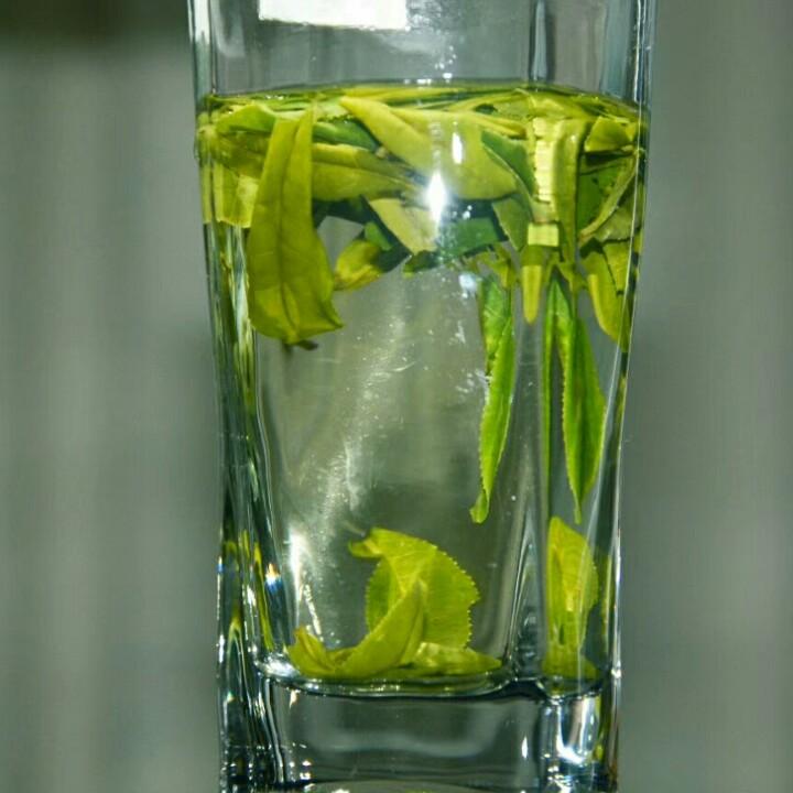霍山县雨佳有机茶有限公司