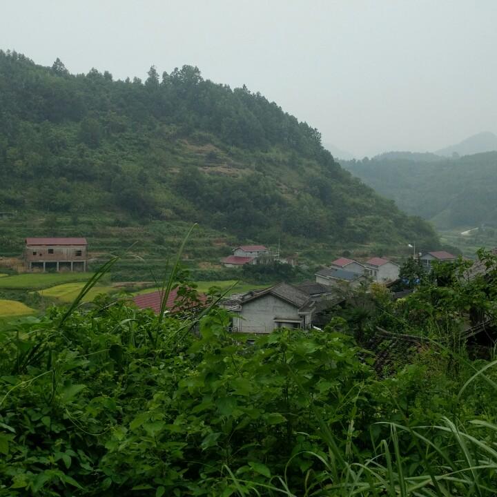 石头《缘》