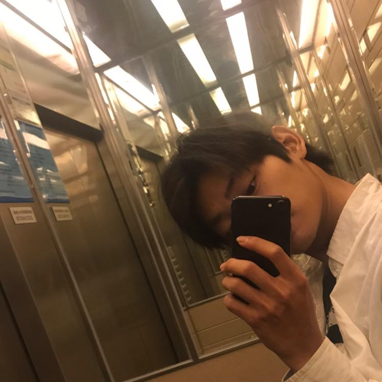 铲屎的