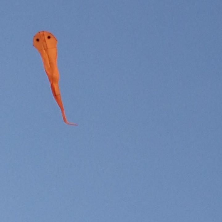 追风筝的人追不到