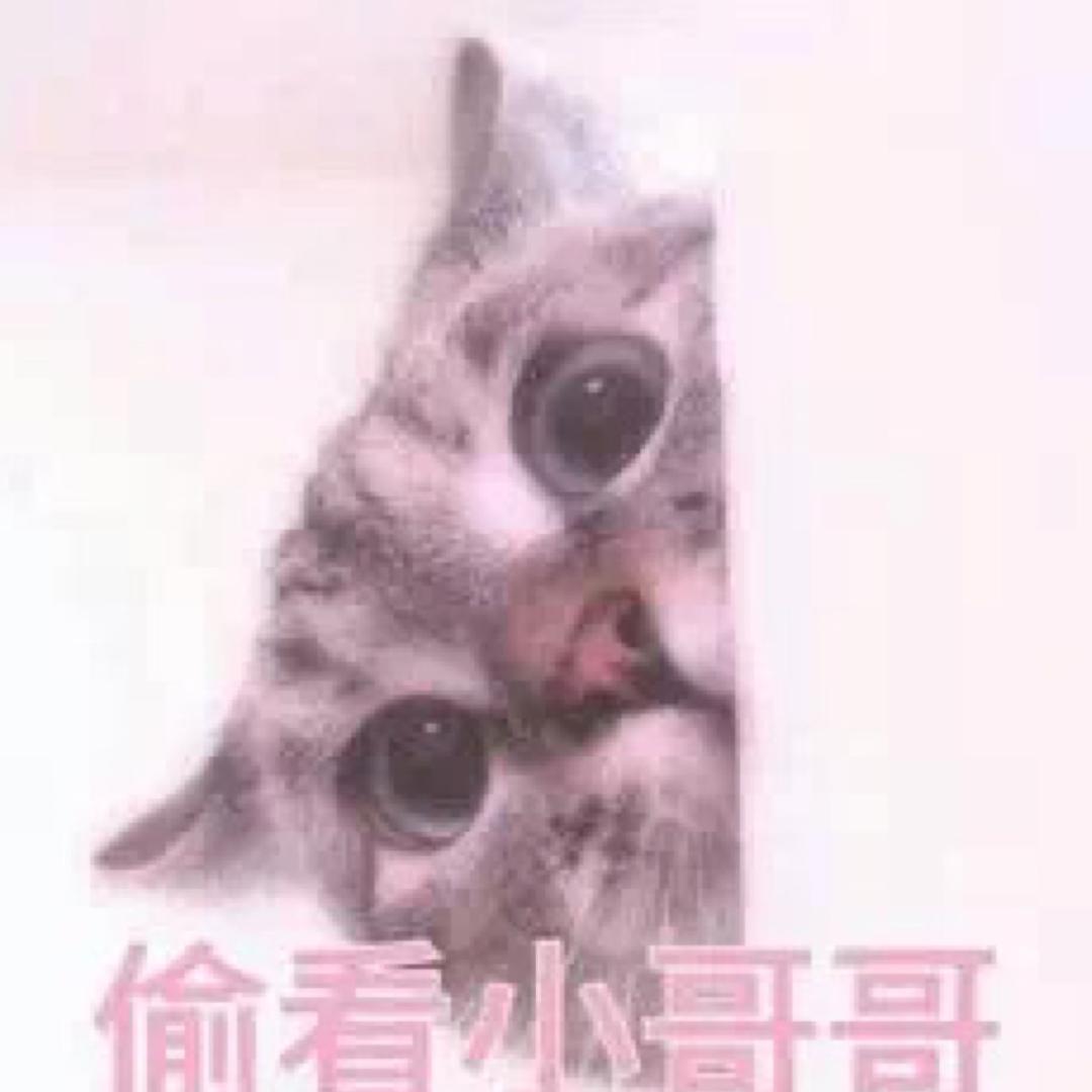雪米饼💦
