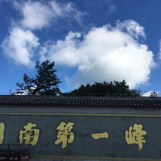陈氏波澜