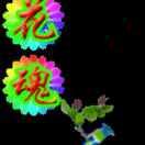 冷月.花魂