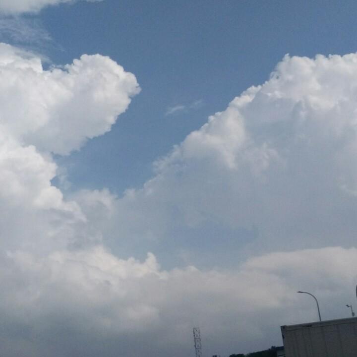 刘志兰