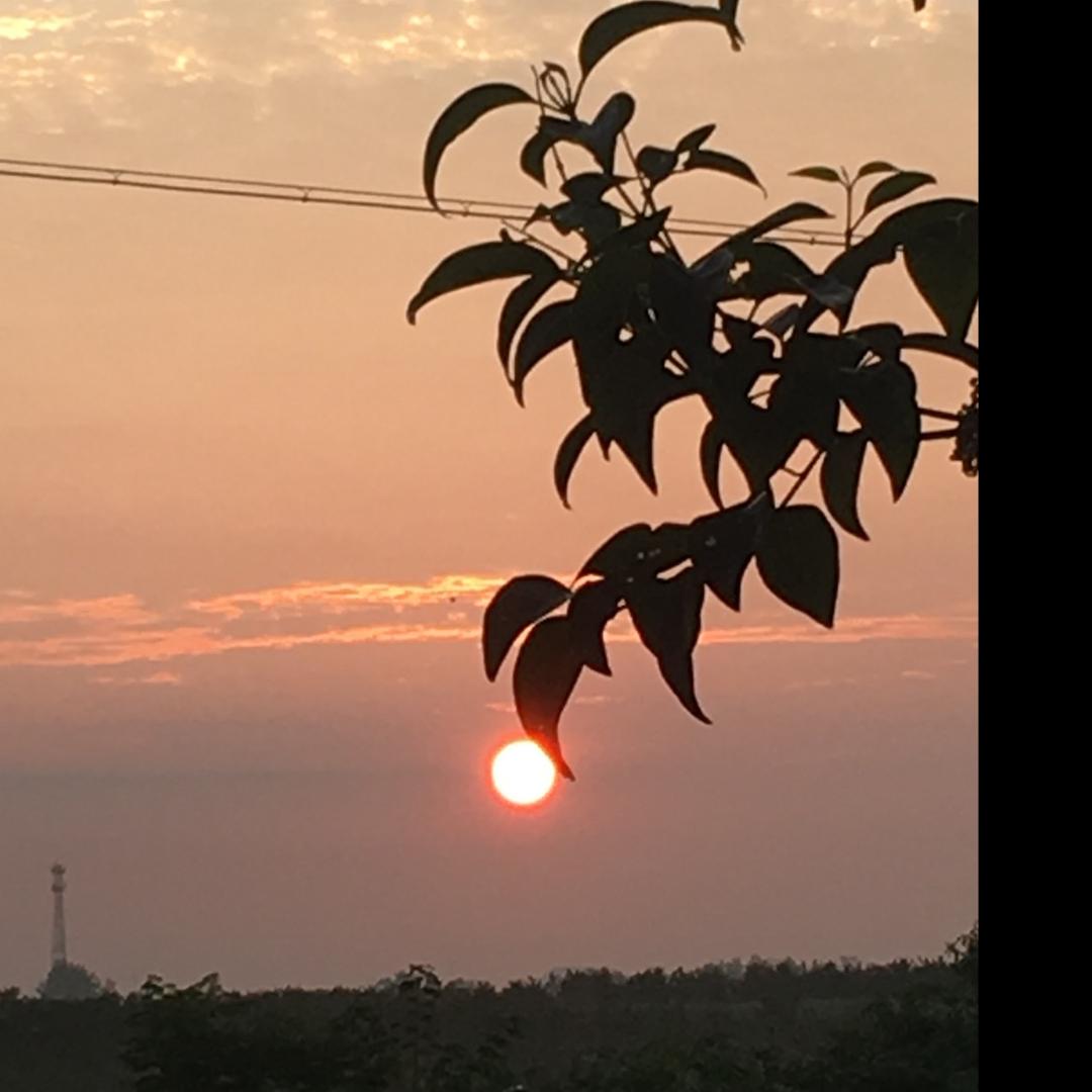 诚新牧业