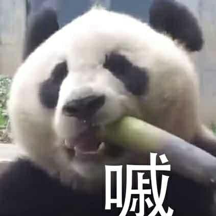 在你身后