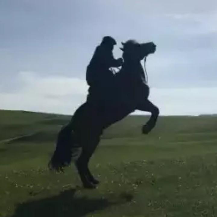 凌云壮志、