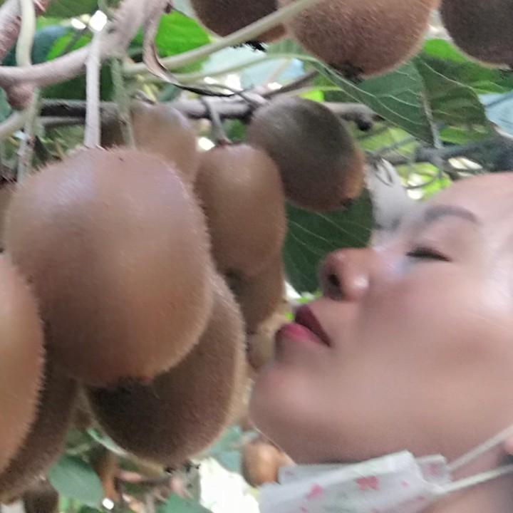 丹