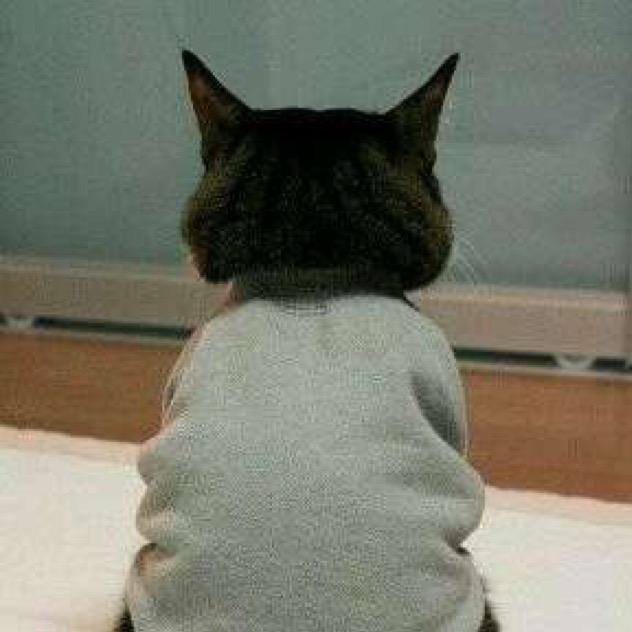 满山🐒腚我最红