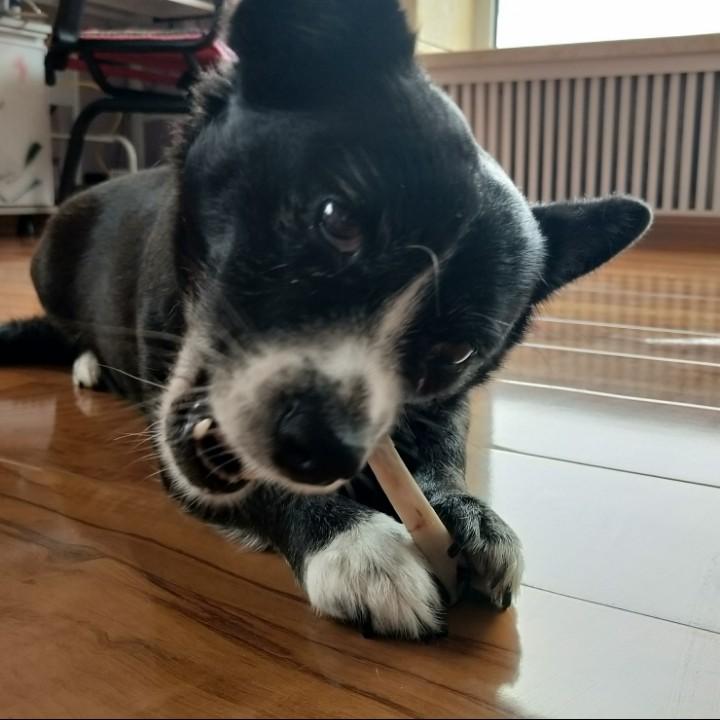 阿不