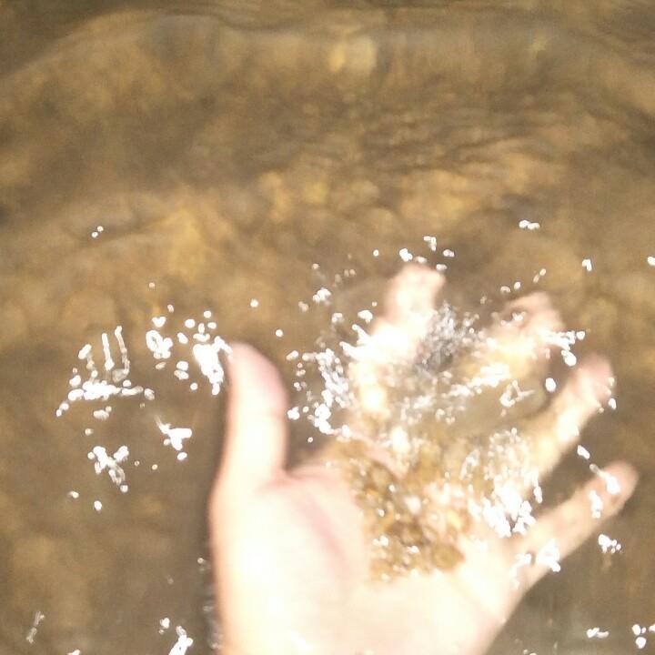 三毛流浪记\_