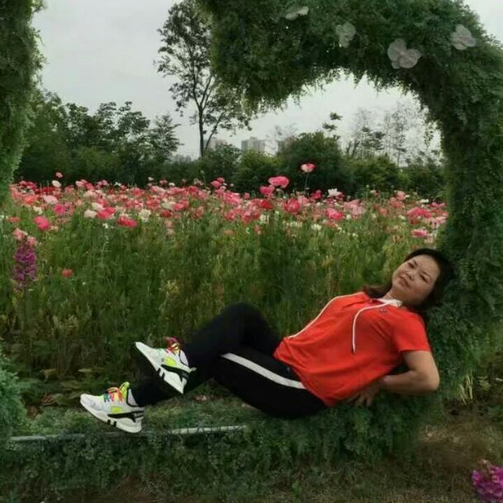 橄榄枝