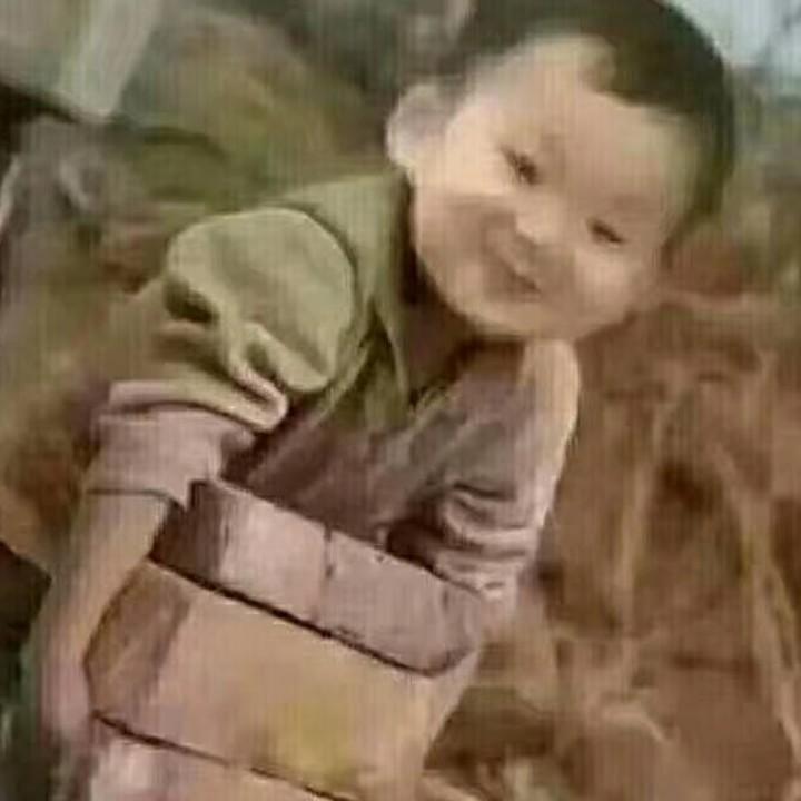 何必—伤心—专业猪公公