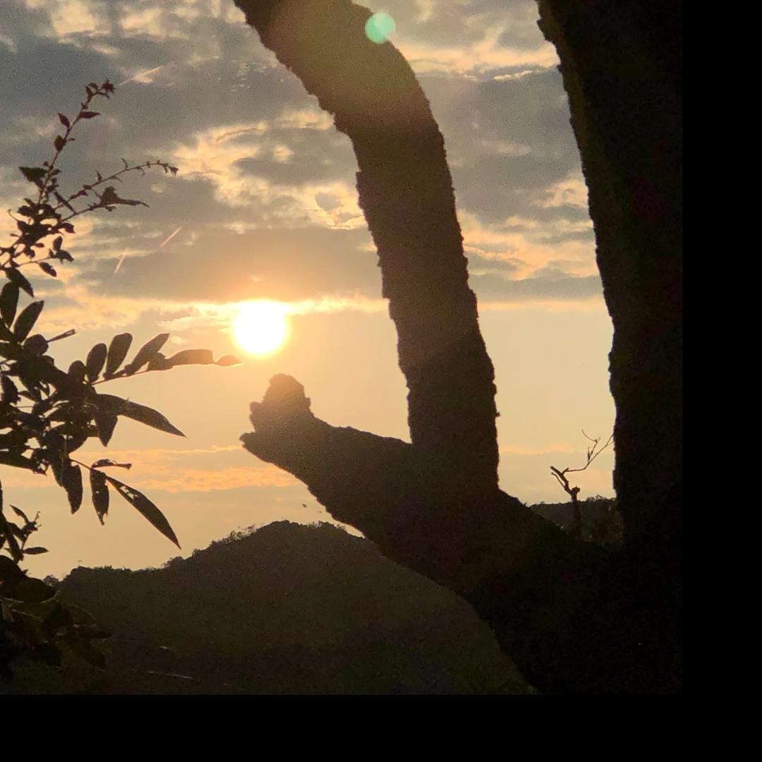 渣渣