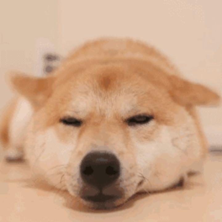 风清扬、