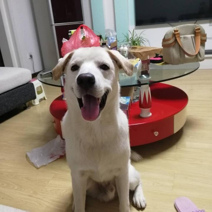 长安河