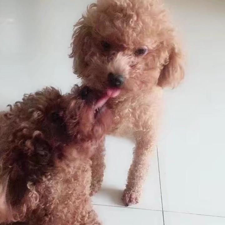 彼彼宝宝