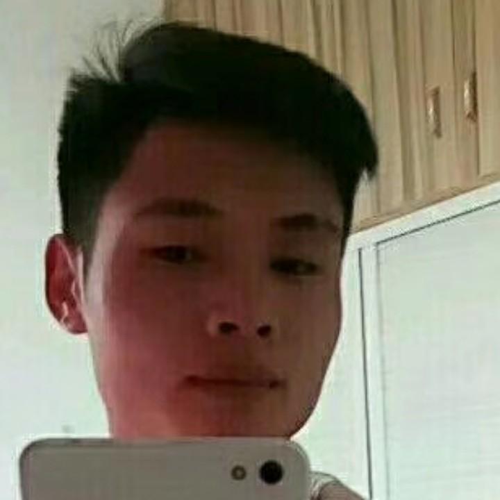 羊驼减马