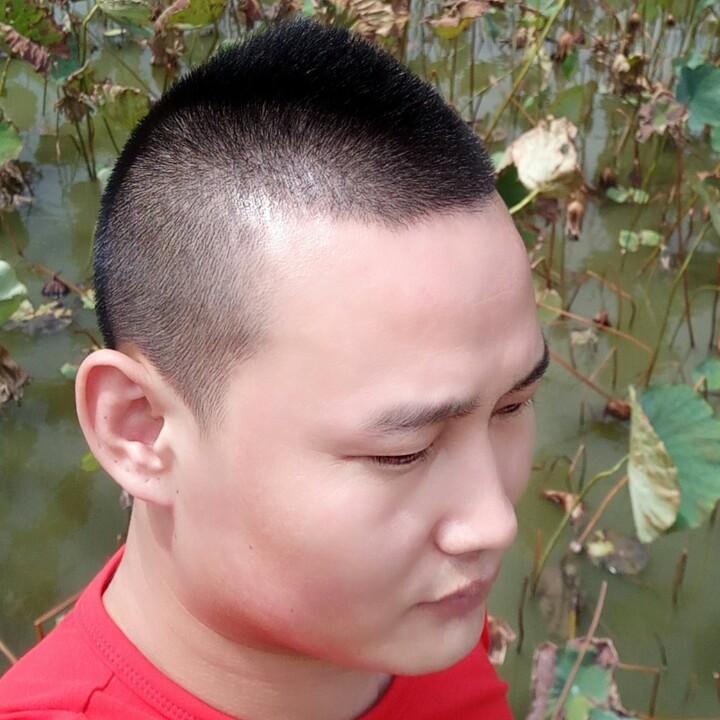春杨