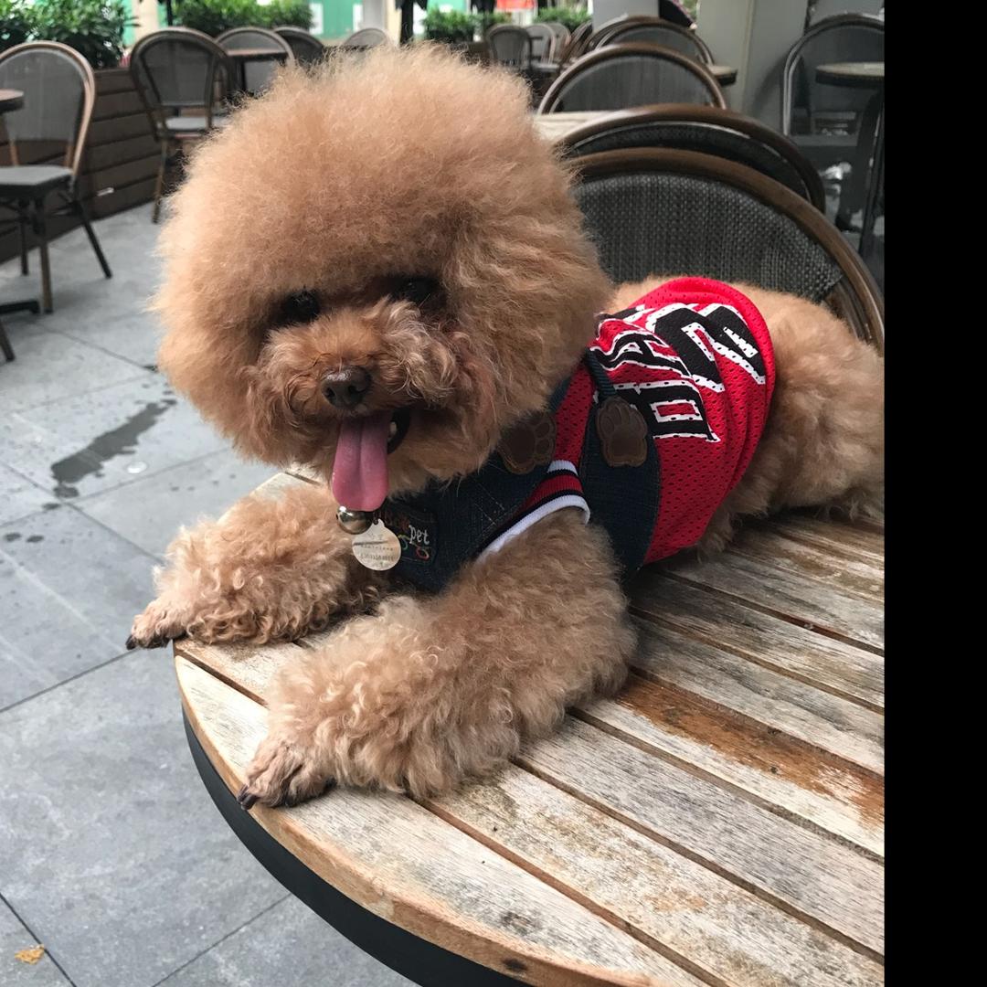 鲍鲍