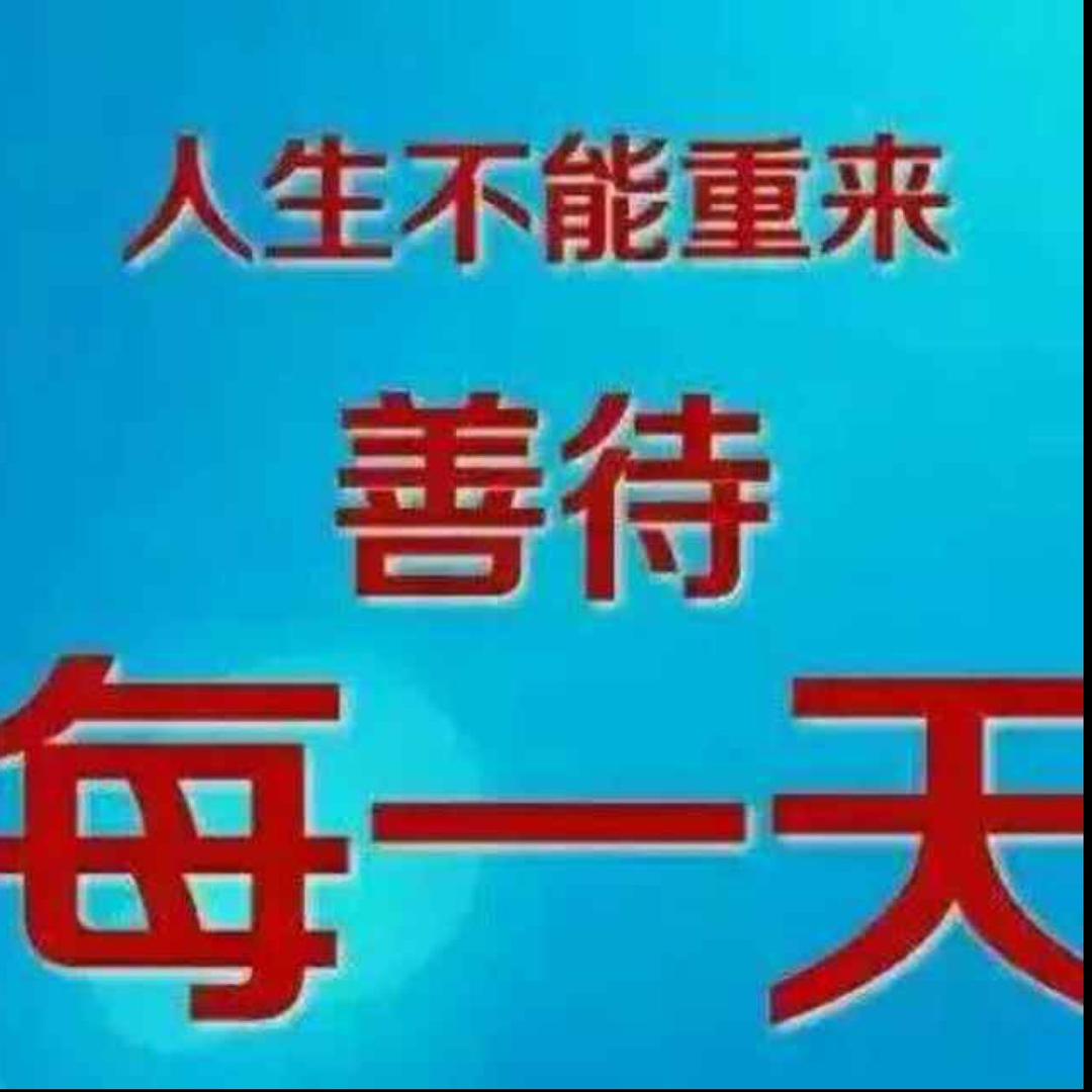 枫叶🍁🍁🍁🍁