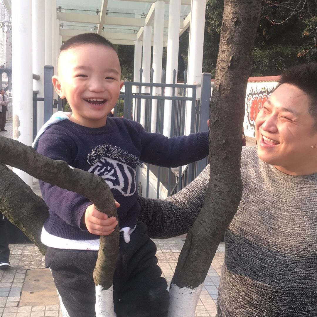 磊