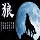 包头女装批发