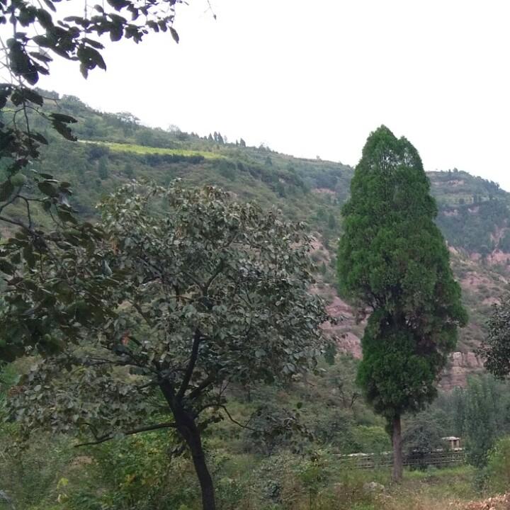 關