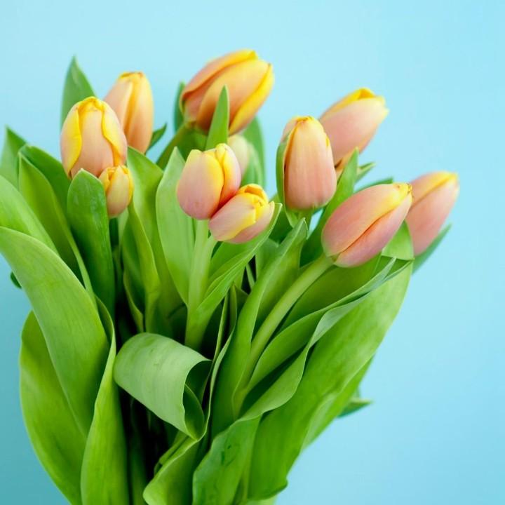 韩ff橱窗有新品😀，