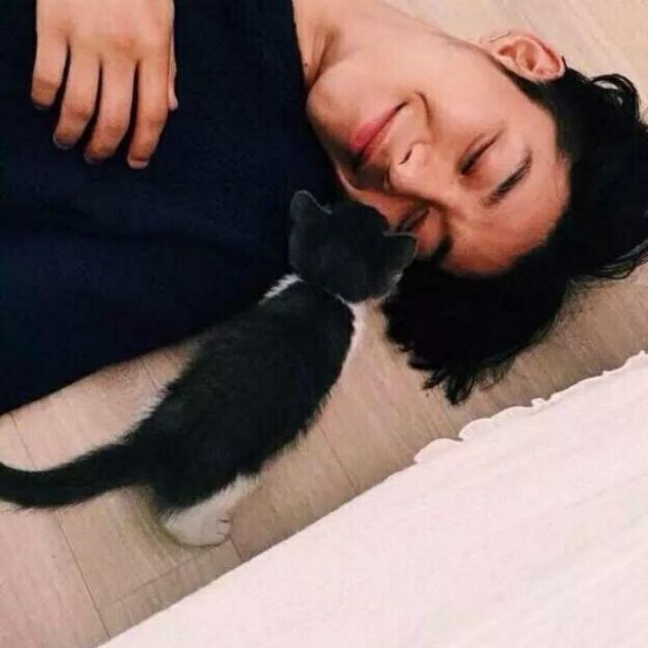 猫扑.