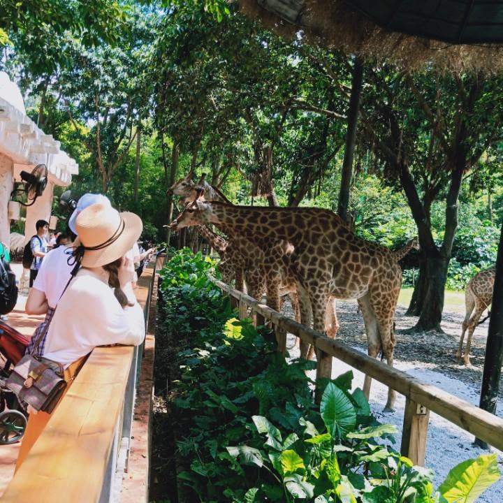 萌萌姑娘🍀🍀