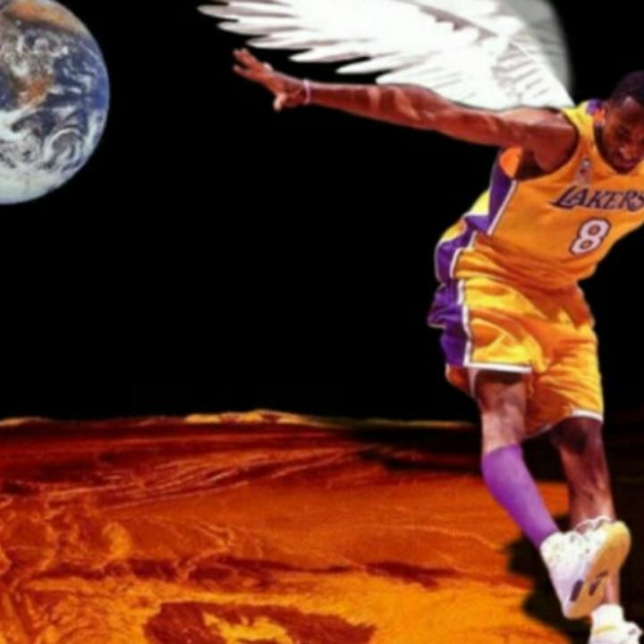 陈甫坠：销售饲料-罗氏沼虾苗