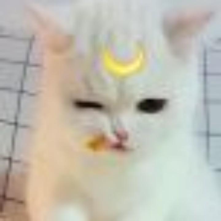 略略略