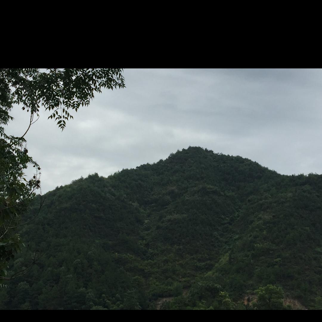 青皮洞洞主