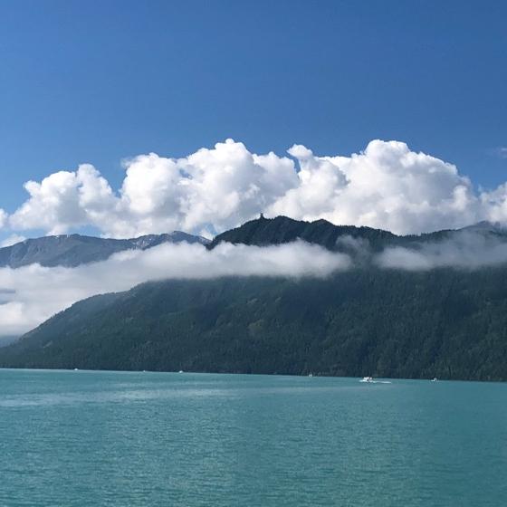 风铃风段